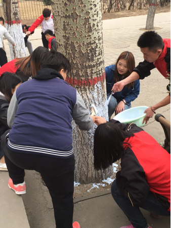 第五团总支—校园刷树活动